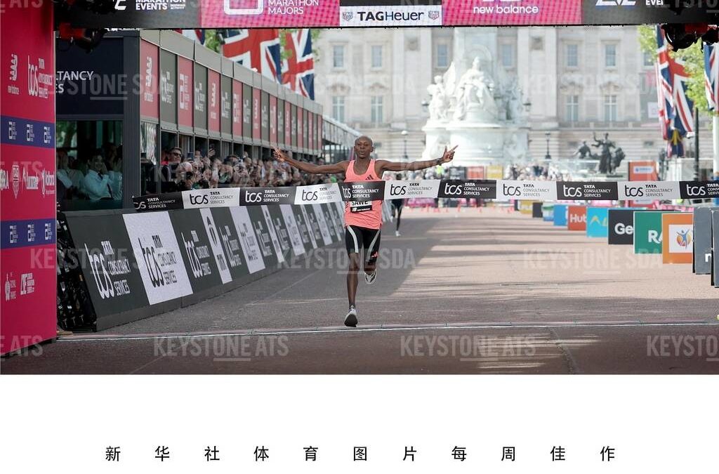 record du monde de marathon - sawe